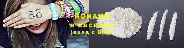соль ск Абаза