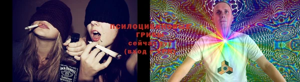 каннабис Алексин